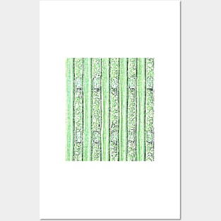 Bamboo Bars Posters and Art